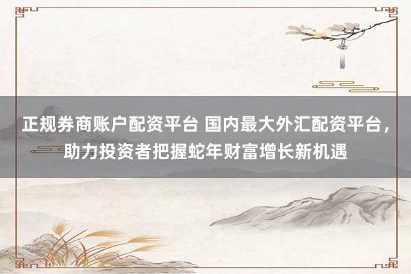 正规券商账户配资平台 国内最大外汇配资平台，助力投资者把握蛇年财富增长新机遇