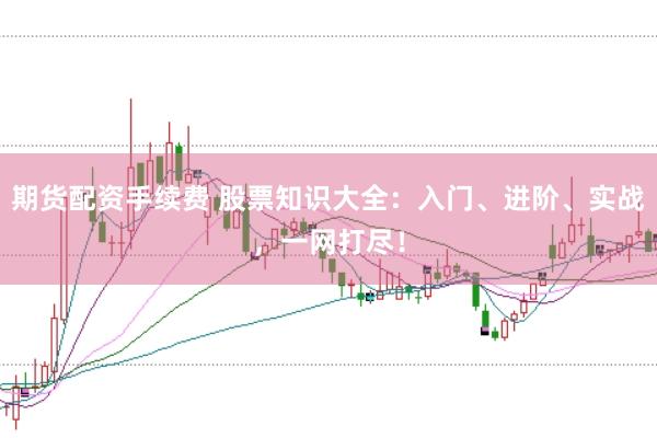 期货配资手续费 股票知识大全：入门、进阶、实战，一网打尽！
