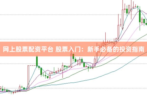 网上股票配资平台 股票入门：新手必备的投资指南