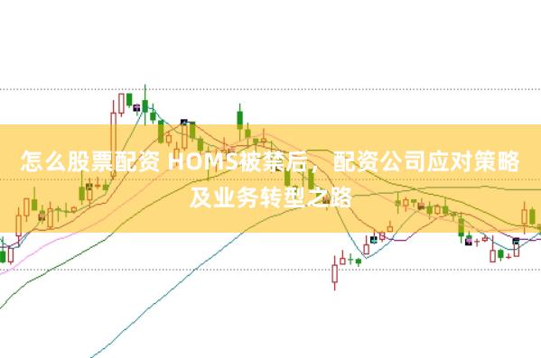 怎么股票配资 HOMS被禁后，配资公司应对策略及业务转型之路