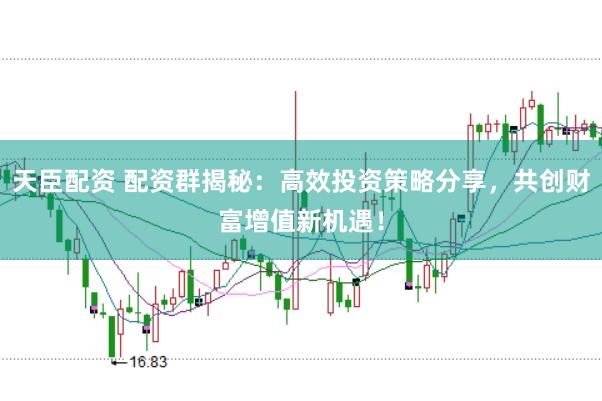 天臣配资 配资群揭秘：高效投资策略分享，共创财富增值新机遇！