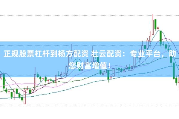 正规股票杠杆到杨方配资 壮云配资：专业平台，助您财富增值！