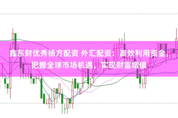 鑫东财优秀杨方配资 外汇配资：高效利用资金，把握全球市场机遇，实现财富增值
