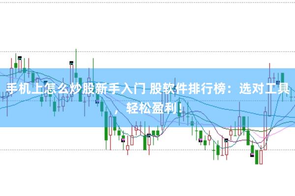 手机上怎么炒股新手入门 股软件排行榜：选对工具，轻松盈利！