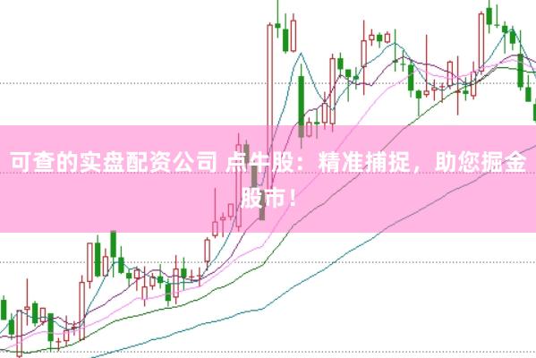 可查的实盘配资公司 点牛股：精准捕捉，助您掘金股市！