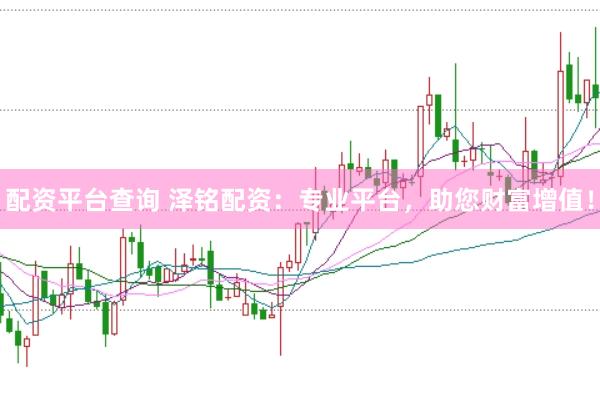 配资平台查询 泽铭配资：专业平台，助您财富增值！
