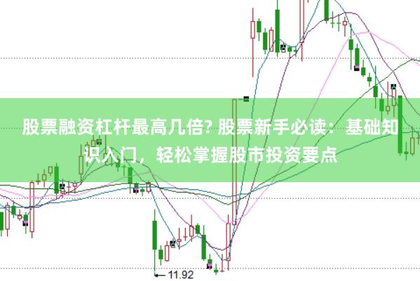 股票融资杠杆最高几倍? 股票新手必读：基础知识入门，轻松掌握股市投资要点