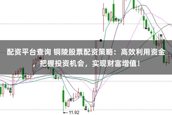 配资平台查询 铜陵股票配资策略：高效利用资金，把握投资机会，实现财富增值！