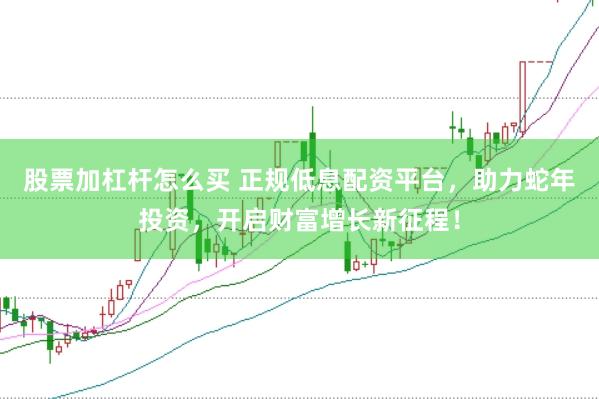 股票加杠杆怎么买 正规低息配资平台，助力蛇年投资，开启财富增长新征程！