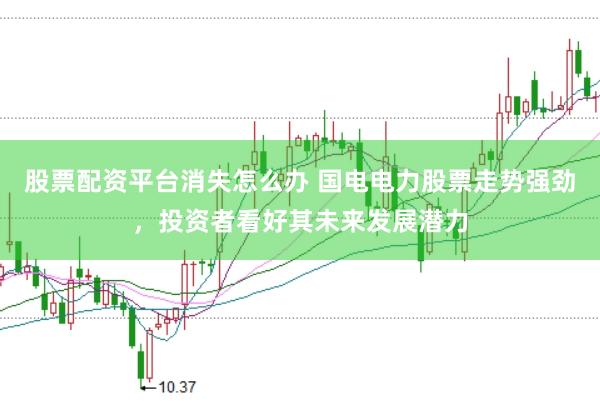 股票配资平台消失怎么办 国电电力股票走势强劲，投资者看好其未来发展潜力