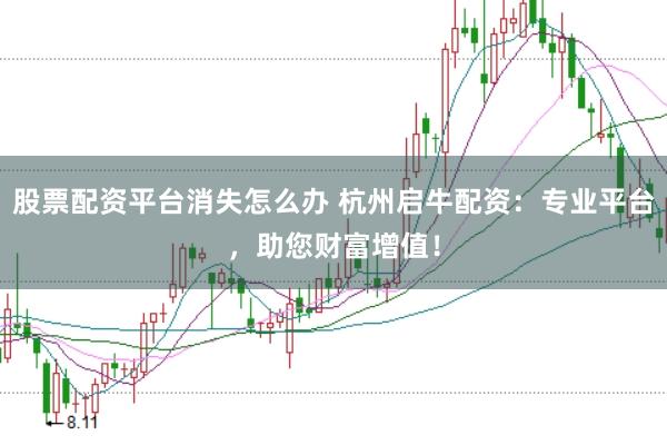 股票配资平台消失怎么办 杭州启牛配资：专业平台，助您财富增值！
