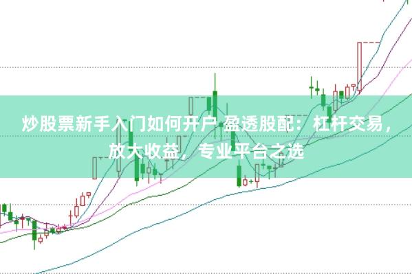 炒股票新手入门如何开户 盈透股配：杠杆交易，放大收益，专业平台之选