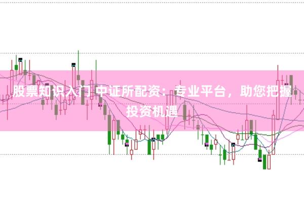 股票知识入门 中证所配资：专业平台，助您把握投资机遇