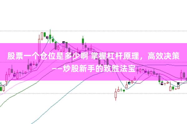 股票一个仓位是多少啊 掌握杠杆原理，高效决策——炒股新手的致胜法宝
