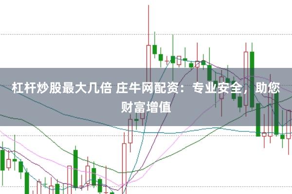 杠杆炒股最大几倍 庄牛网配资：专业安全，助您财富增值