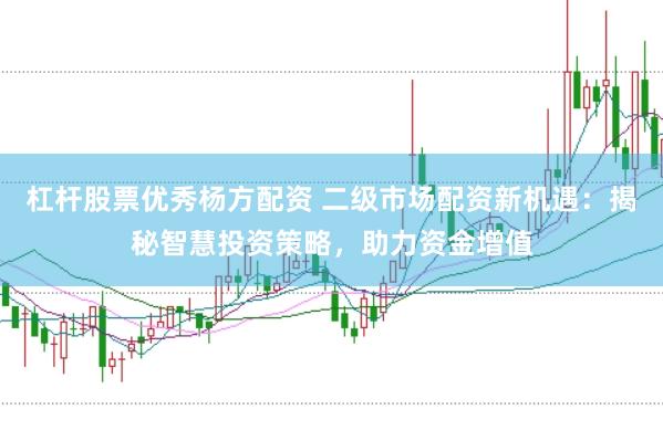 杠杆股票优秀杨方配资 二级市场配资新机遇：揭秘智慧投资策略，助力资金增值