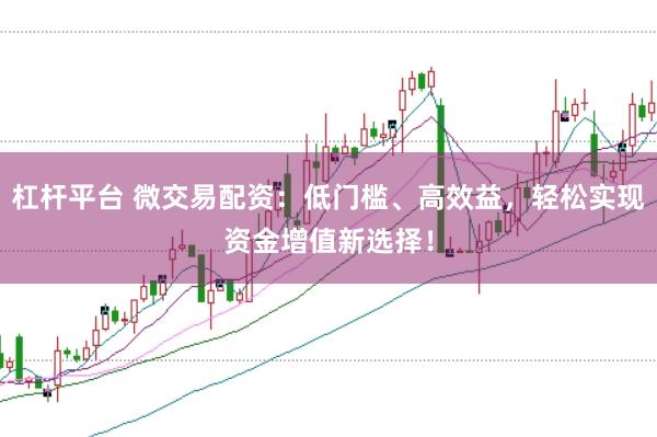 杠杆平台 微交易配资：低门槛、高效益，轻松实现资金增值新选择！