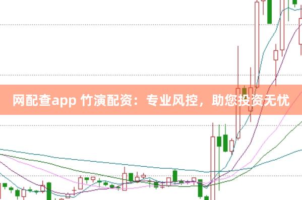 网配查app 竹演配资：专业风控，助您投资无忧