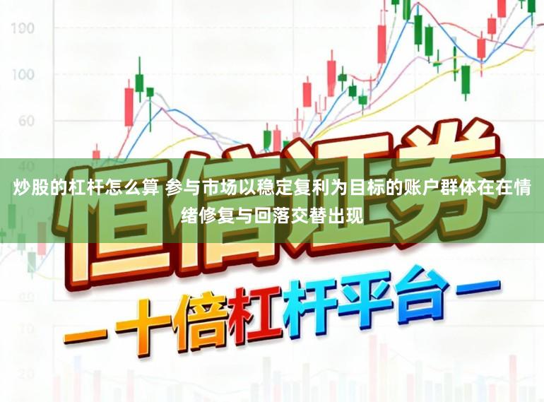 炒股的杠杆怎么算 参与市场以稳定复利为目标的账户群体在在情绪修复与回落交替出现