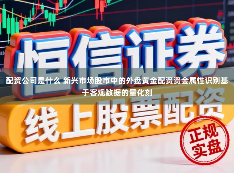 配资公司是什么 新兴市场股市中的外盘黄金配资资金属性识别基于客观数据的量化刻