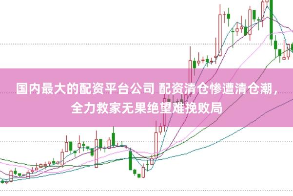 国内最大的配资平台公司 配资清仓惨遭清仓潮，全力救家无果绝望难挽败局